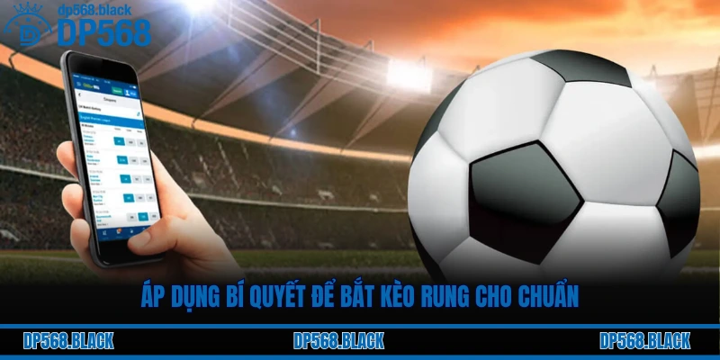 Bí Quyết Bắt Kèo Rung “Ăn Chắc” Tại DP568 Từ Cược Thủ 2 Áp dụng bí quyết để bắt kèo rung cho chuẩn