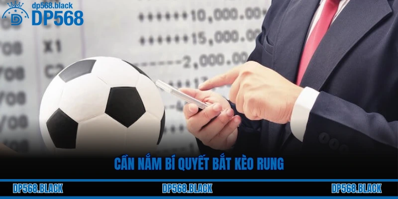 Bí Quyết Bắt Kèo Rung “Ăn Chắc” Tại DP568 Từ Cược Thủ 1 Cần nắm bí quyết bắt kèo rung